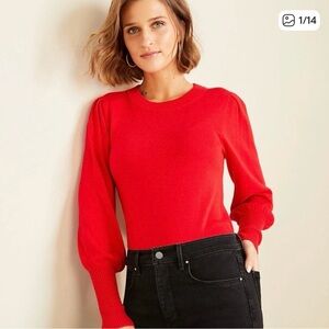 Ann Taylor Fuchsia Knit Sweater